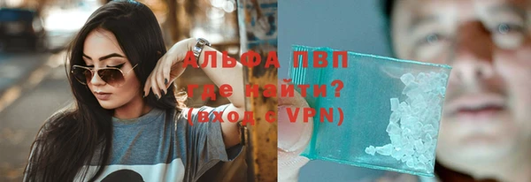 прущая мука Вяземский