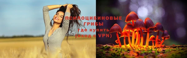 прущая мука Вяземский