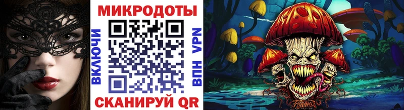 Псилоцибиновые грибы Psilocybe  hydra как зайти  Заволжье 