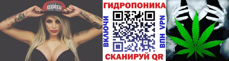 MEGA ТОР  где купить наркоту  Заволжье  Канабис THC 21% 